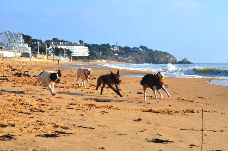 promenades-plage