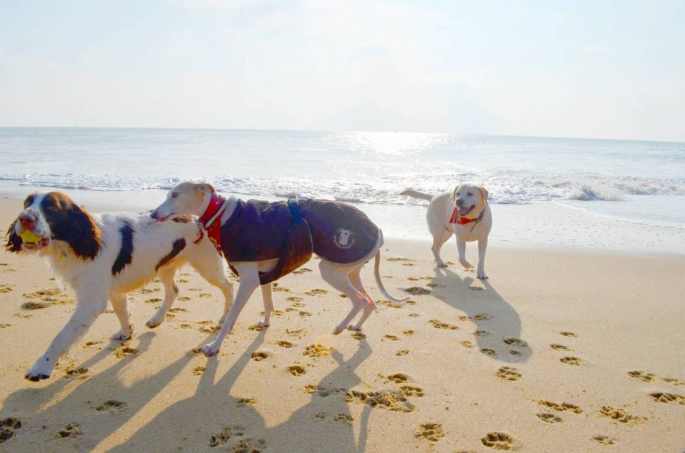 Promenade à la plage2