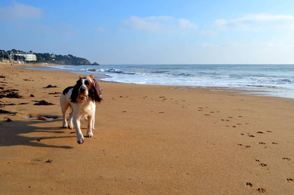 Promenade à la plage12