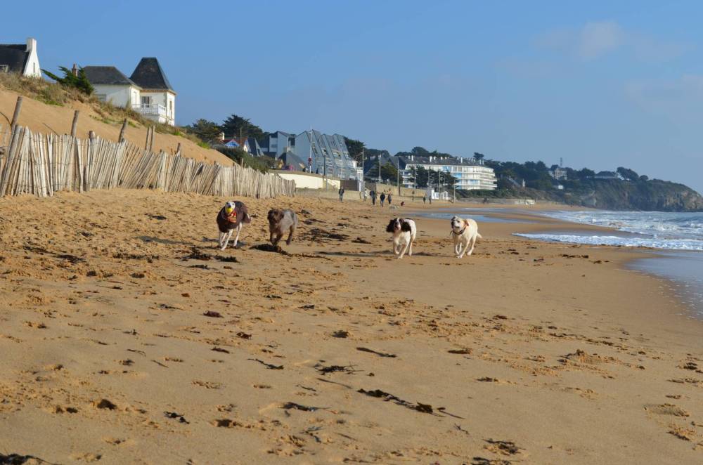 Promenade à la plage-20