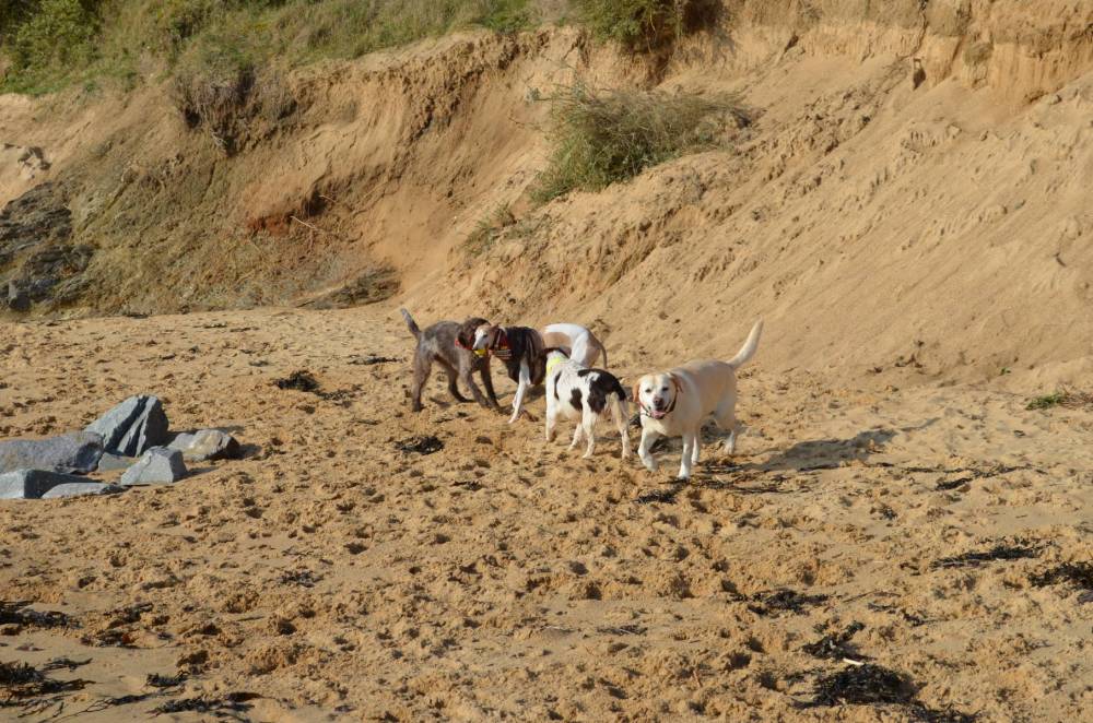 Promenade à la plage-22