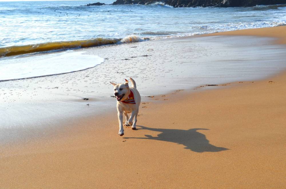 Promenade à la plage-3