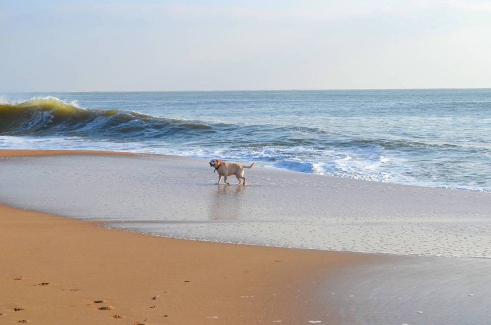 Promenade à la plage-37