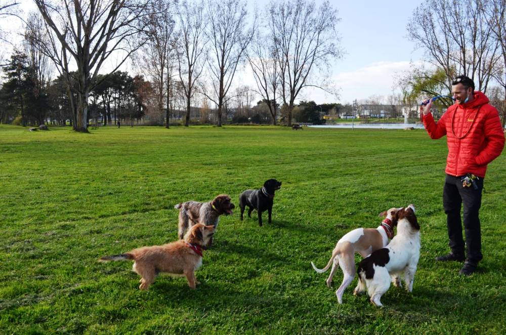 promenade au parc-2