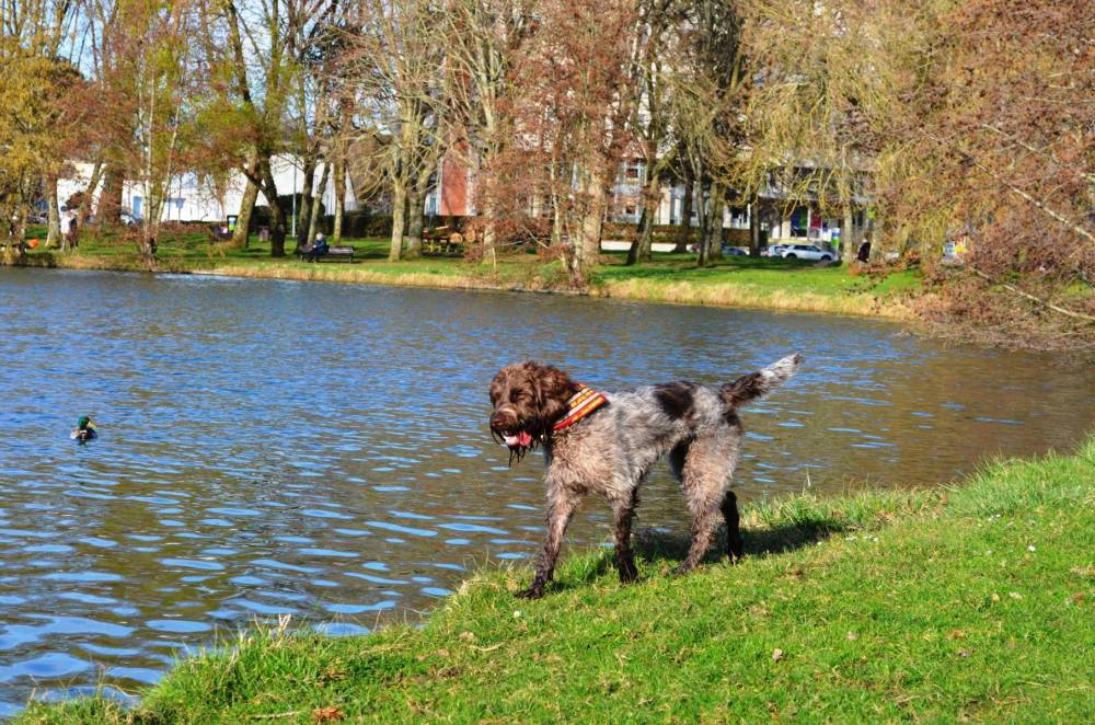 promenade au parc-13