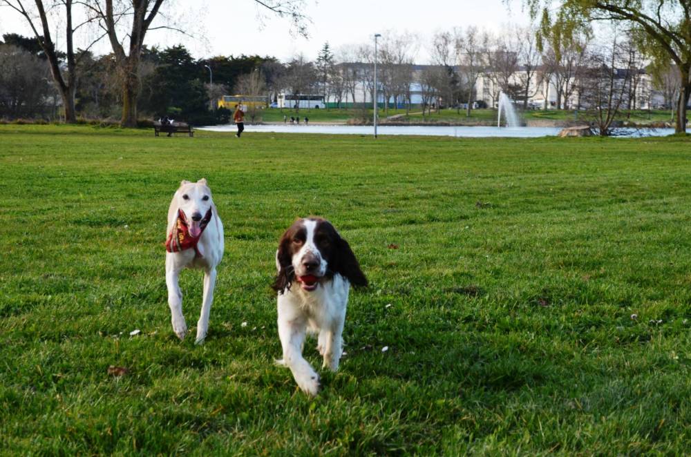 promenade au parc-20