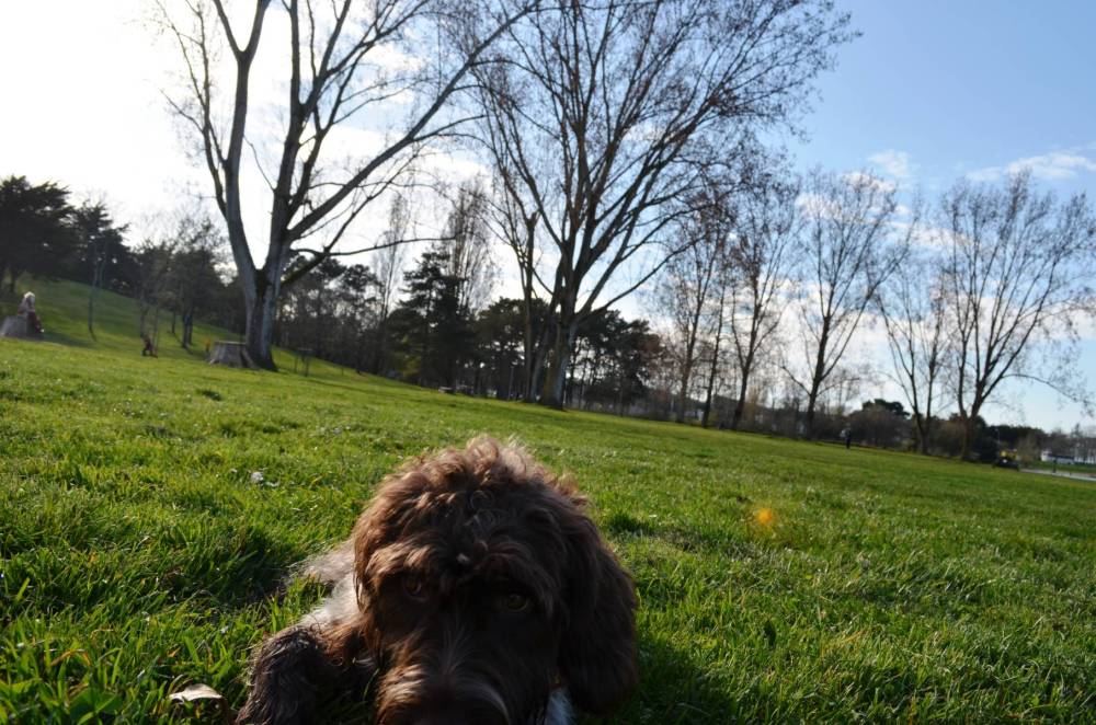 promenade au parc-24