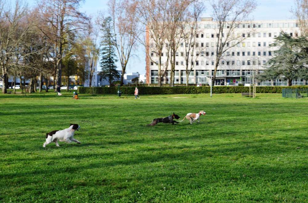promenade au parc-28