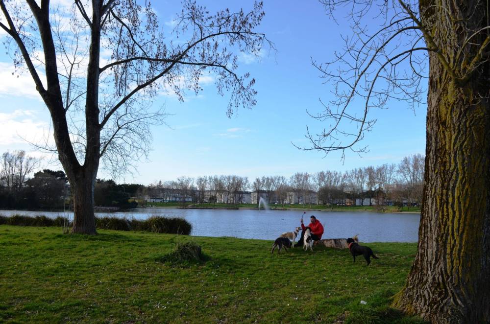 promenade au parc-29