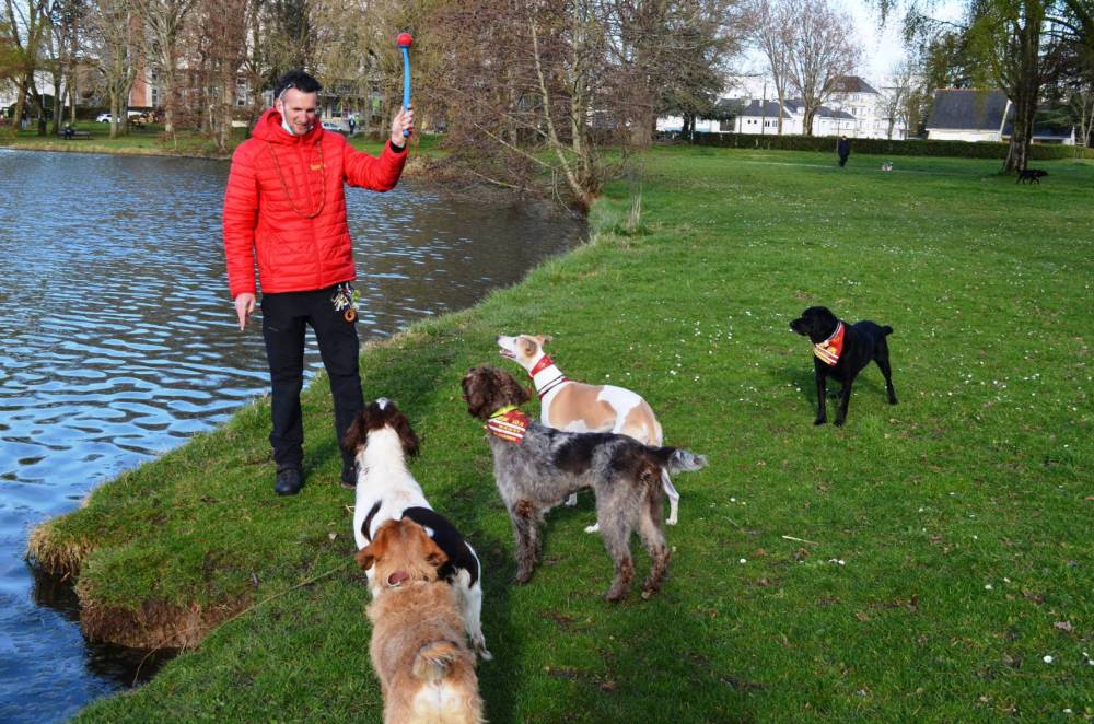 famille d'accueil pour chien à Pontchâteau
