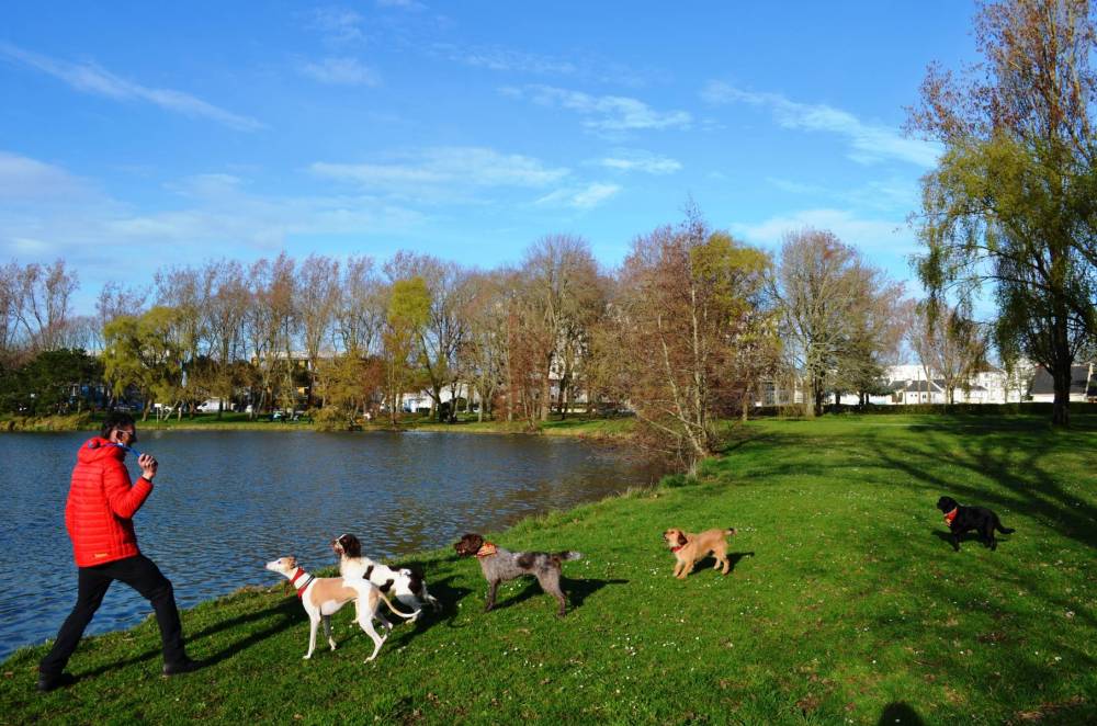 promenade au parc-34