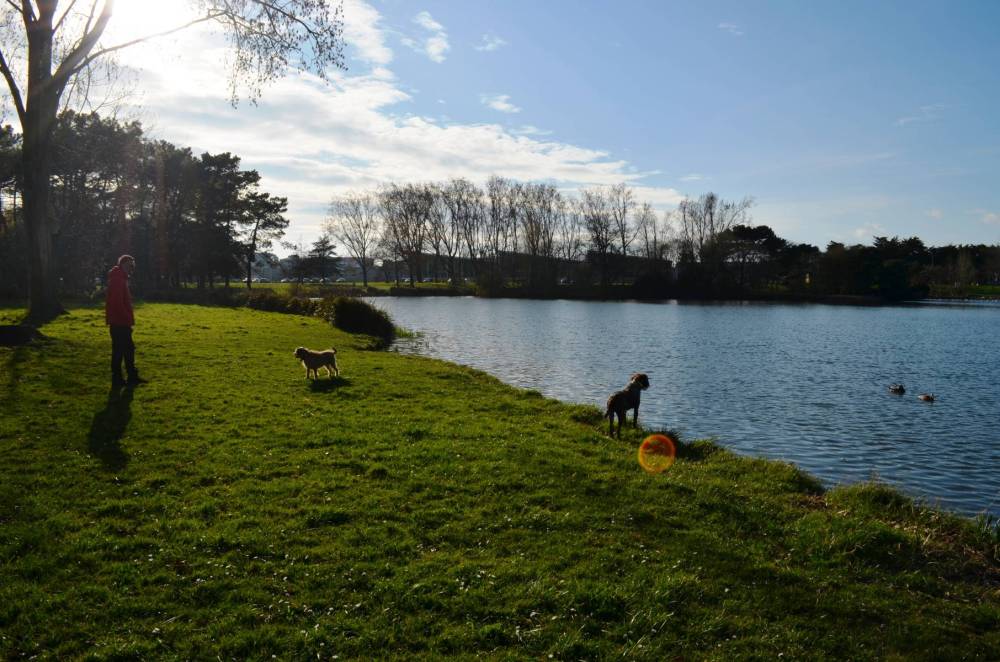 promenade au parc-39