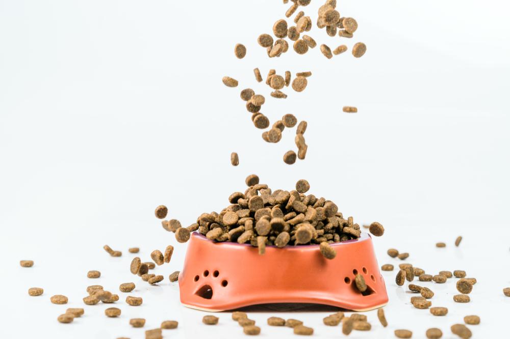 alimentation pour chiens et chats à Pontchâteau